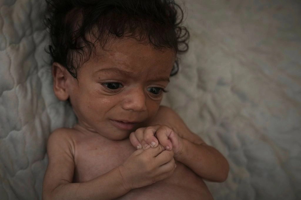 Salam, 7 months old